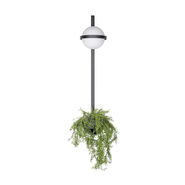 Настенный светильник LOFT IT Jardin 10121W/B Фото № 