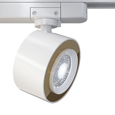 Трековый светодиодный светильник Maytoni Track lamps TR023-1-12W4K 2
