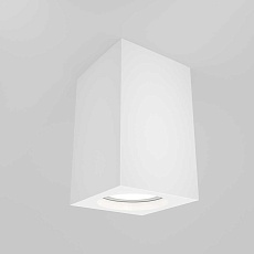 Потолочный светильник Maytoni Alfa C011CL-01W 5
