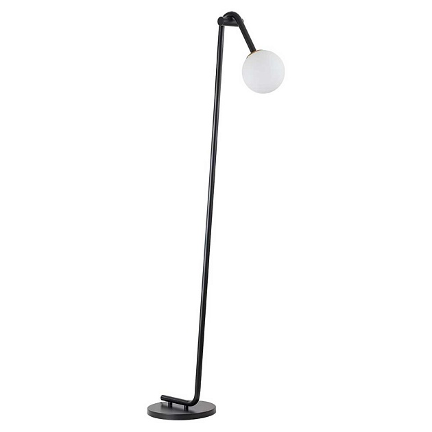 Торшер Lumion DEXTER 6500/1F Фото № 