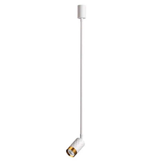 Подвесной светильник Odeon Light Ad Astrum 4350/1C Фото № 