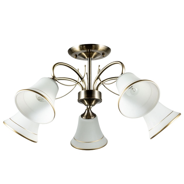 Потолочная люстра Arte Lamp Blossom A2709PL-5AB Фото № 