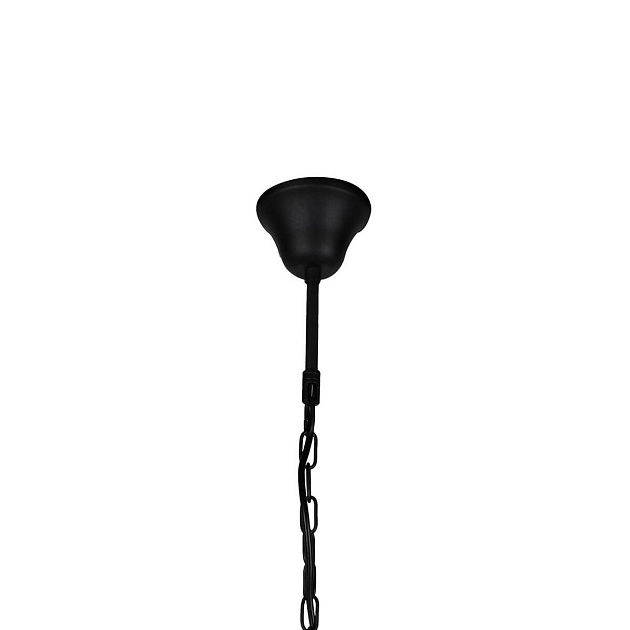 Подвесной светильник Favourite Situla 1975-1P Фото № 2