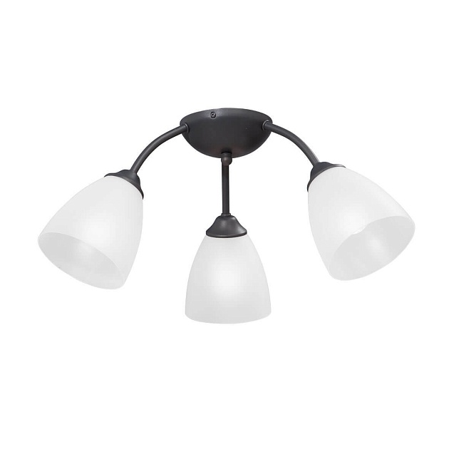 Потолочная люстра Vitaluce V3737-2/3PL Фото № 