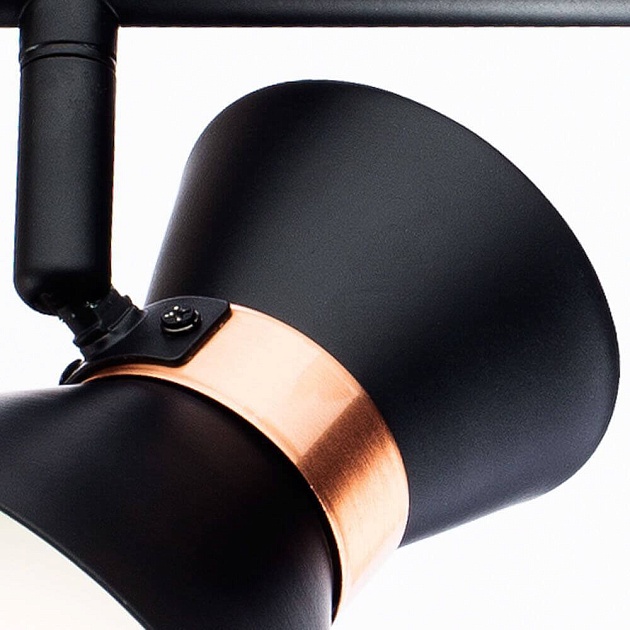 Спот Arte Lamp Baltimore A1406AP-2BK изображение 4 Спот Arte Lamp Baltimore A1406AP-2BK Фото № 4