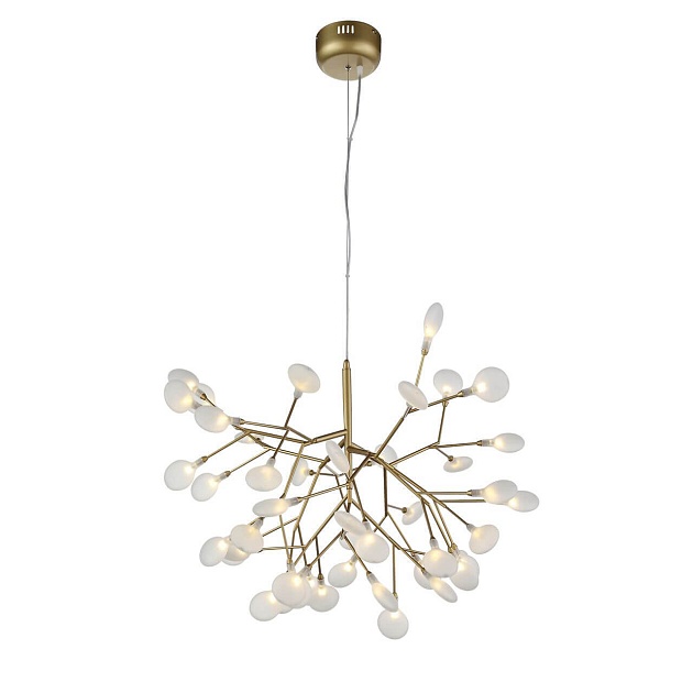 Подвесная люстра ST Luce Riccardo SL411.223.45 изображение Подвесная люстра ST Luce Riccardo SL411.223.45 Фото №