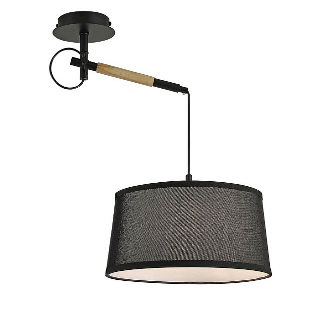 Подвесной светильник F-Promo Eureka 3006-1P Фото № 