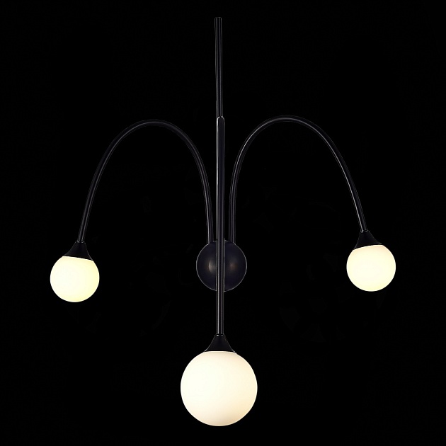 Настенный светильник ST Luce Vive SL1187.401.03 Фото № 4