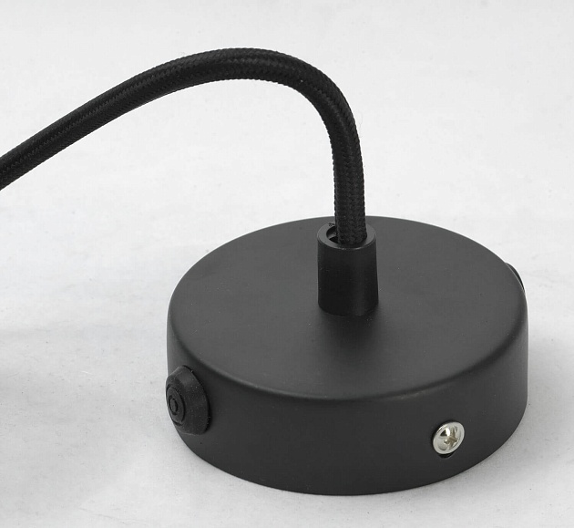 Подвесной светильник Lussole Loft LSP-9888 Фото № 4