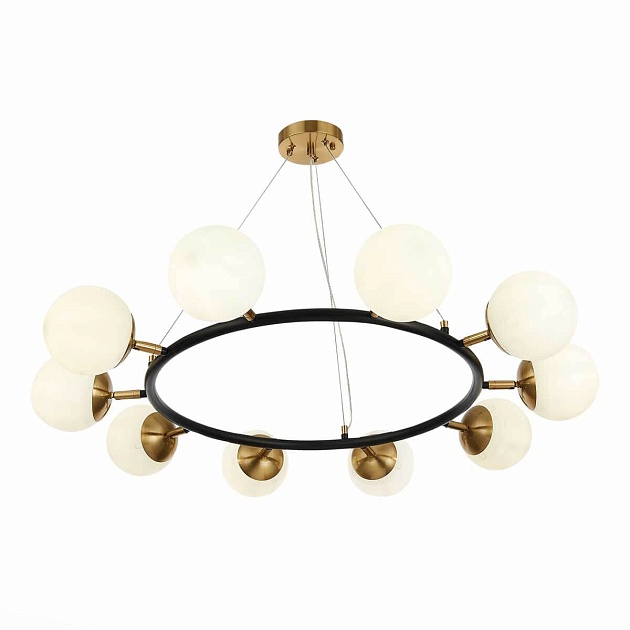 Подвесная люстра Evoluce FORLI SLE220403-10 Фото № 3