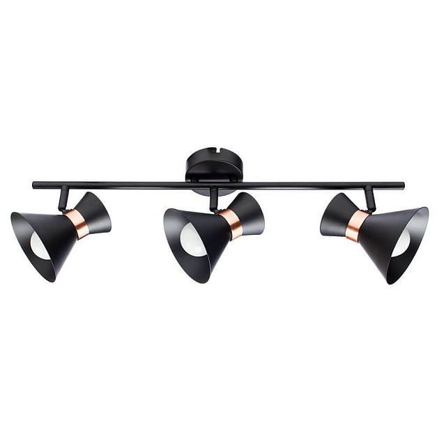 Спот Arte Lamp Baltimore A1406PL-3BK Фото № 