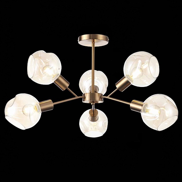 Потолочная люстра Evoluce Gentore SLE155302-06 изображение 10 Потолочная люстра Evoluce Gentore SLE155302-06 Фото № 10