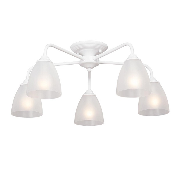 Потолочная люстра Vitaluce V3946-0/5PL изображение Потолочная люстра Vitaluce V3946-0/5PL Фото №