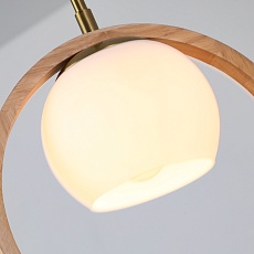 Подвесной светильник Arte Lamp Caprice A4182SP-1BR 2