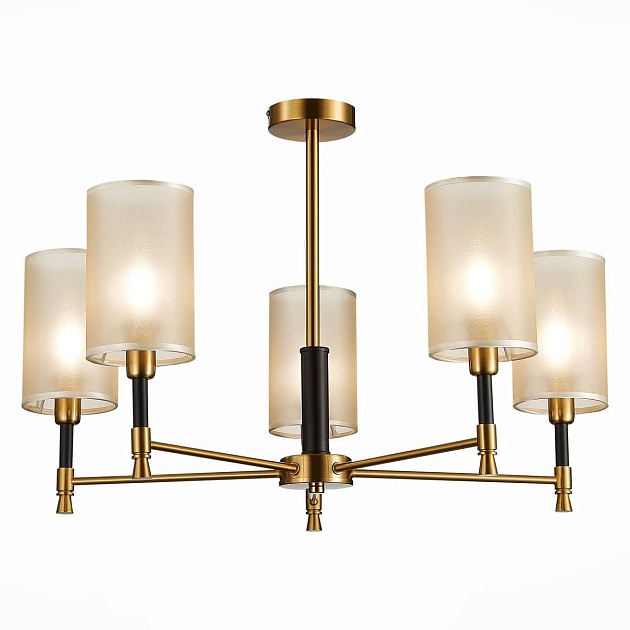 Потолочная люстра Evoluce Granze SLE300302-05 изображение Потолочная люстра Evoluce Granze SLE300302-05 Фото №