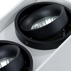 Потолочный светильник Arte Lamp A5655PL-2WH 2
