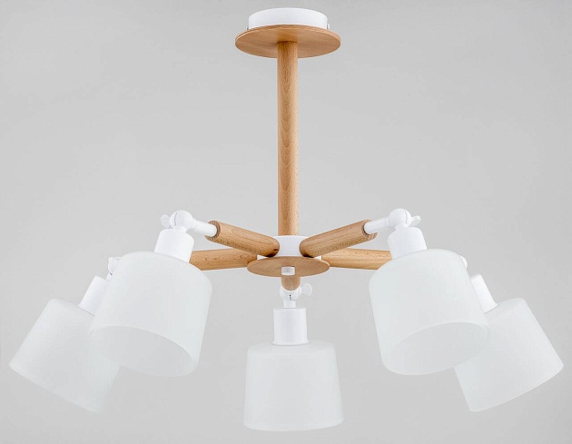 Потолочная люстра Alfa Bushwick 27005 Фото № 