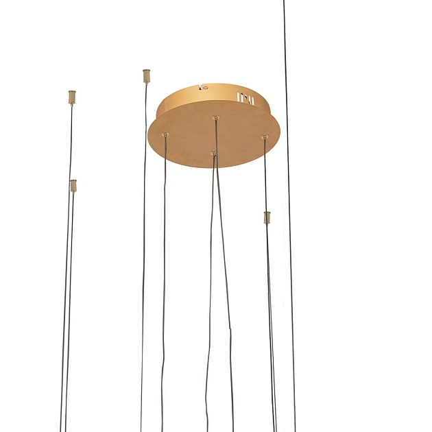 Подвесной светодиодный светильник Loft IT Ring 10017/4L изображение 4 Подвесной светодиодный светильник Loft IT Ring 10017/4L Фото № 4