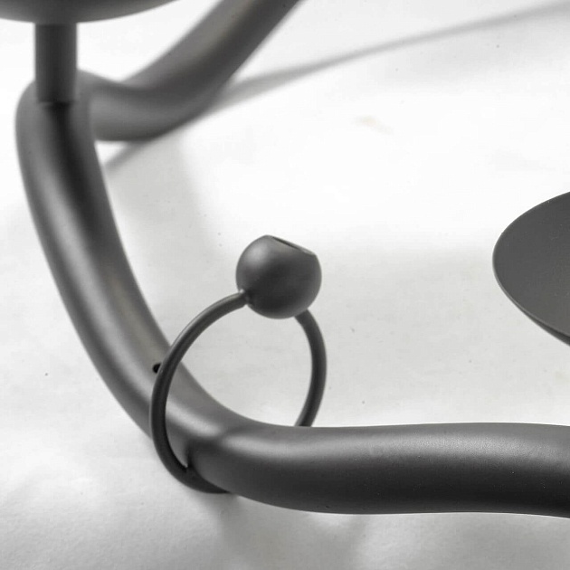 Подвесная люстра Lussole Lgo LSP-0212 изображение 4 Подвесная люстра Lussole Lgo LSP-0212 Фото № 4