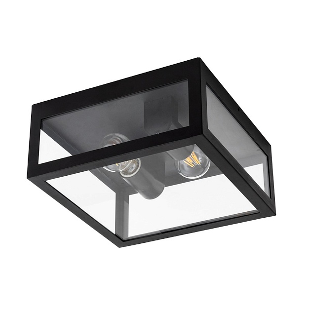 Уличный потолочный светильник Arte Lamp BELFAST A4569PF-2BK изображение Уличный потолочный светильник Arte Lamp BELFAST A4569PF-2BK Фото №