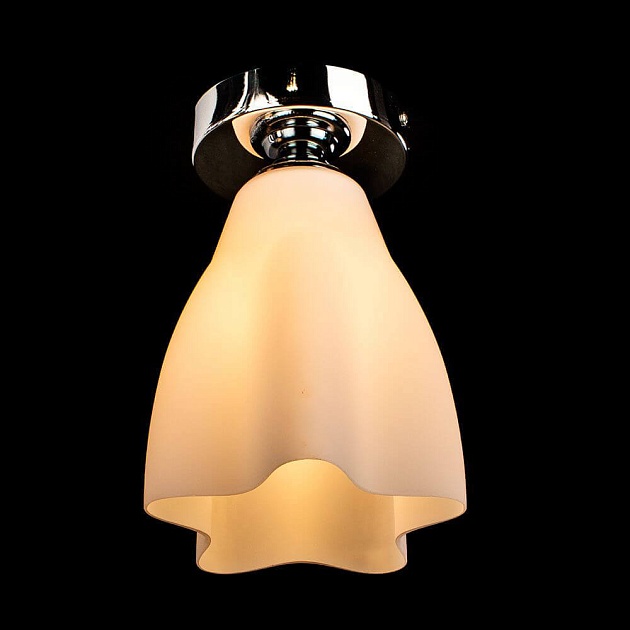 Потолочный светильник Arte Lamp 17 A3469PL-1CC Фото № 4