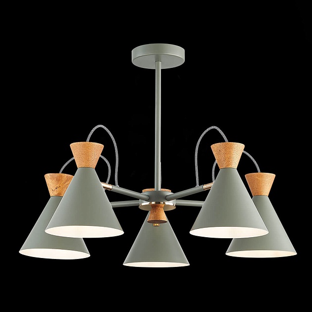 Потолочная люстра Evoluce Modica SLE125112-05 изображение 4 Потолочная люстра Evoluce Modica SLE125112-05 Фото № 4