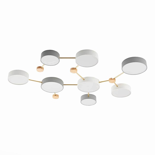 Потолочный светильник Evoluce DOSSENA SLE600102-08 изображение 4 Потолочный светильник Evoluce DOSSENA SLE600102-08 Фото № 4