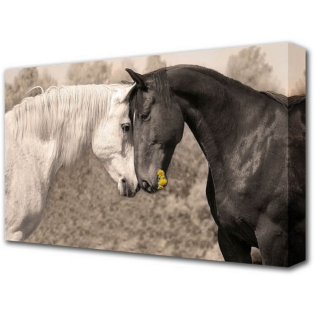 Холст Toplight 60х100х3см TL-H1050 изображение Холст Toplight 60х100х3см TL-H1050 Фото №