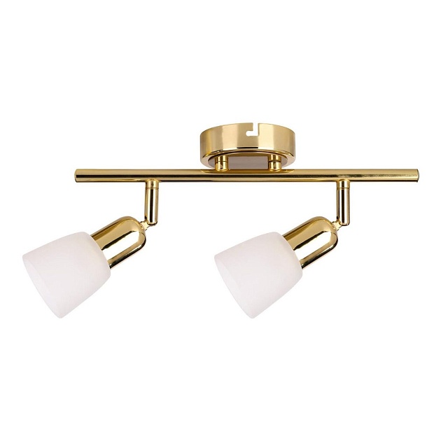 Спот Escada 5039/2PA изображение Спот Escada 5039/2PA Фото №