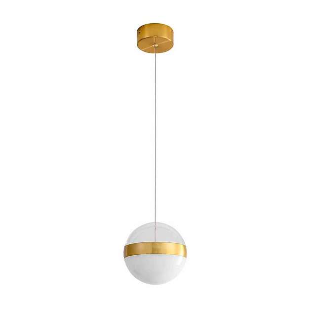 Подвесной светильник Odeon Light RONI 5036/12L Фото № 