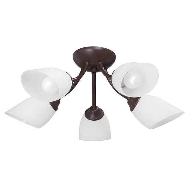 Потолочная люстра Vitaluce V3404/5PL Фото № 