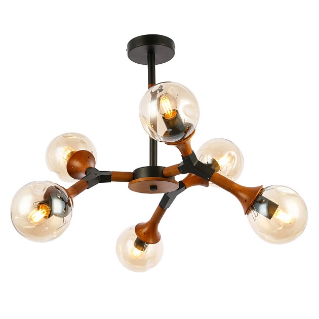 Потолочная люстра Evoluce Raquel SLE109402-06 изображение Потолочная люстра Evoluce Raquel SLE109402-06 Фото №