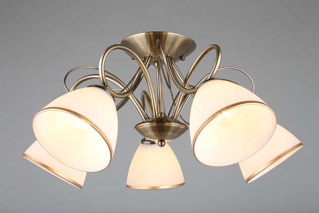 Потолочная люстра Omnilux Alimini OML-25307-05 изображение 2 Потолочная люстра Omnilux Alimini OML-25307-05 Фото № 2