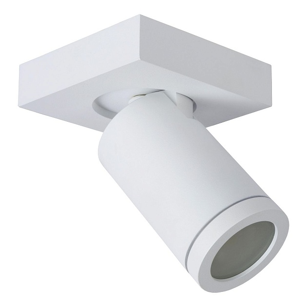 Спот Lucide Taylor 09930/05/31 изображение Спот Lucide Taylor 09930/05/31 Фото №