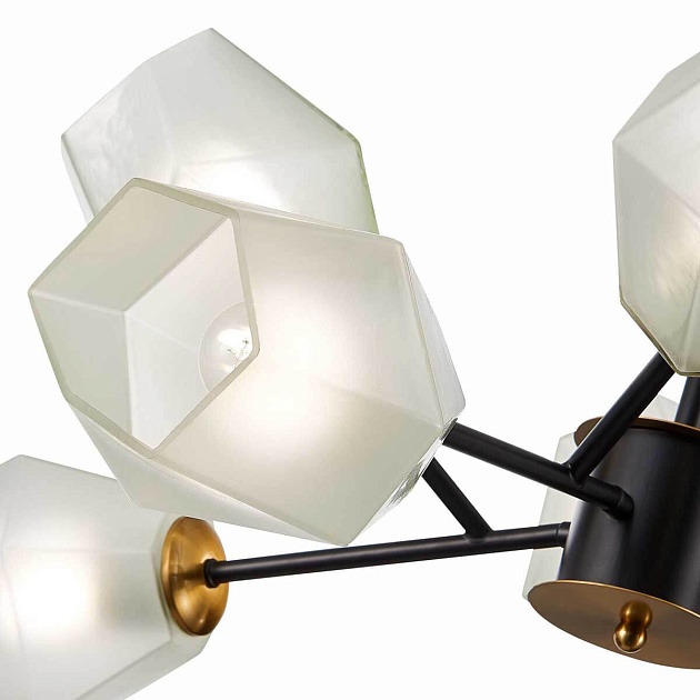 Подвесная люстра Evoluce TERRAMO SLE205102-08 изображение 2 Подвесная люстра Evoluce TERRAMO SLE205102-08 Фото № 2