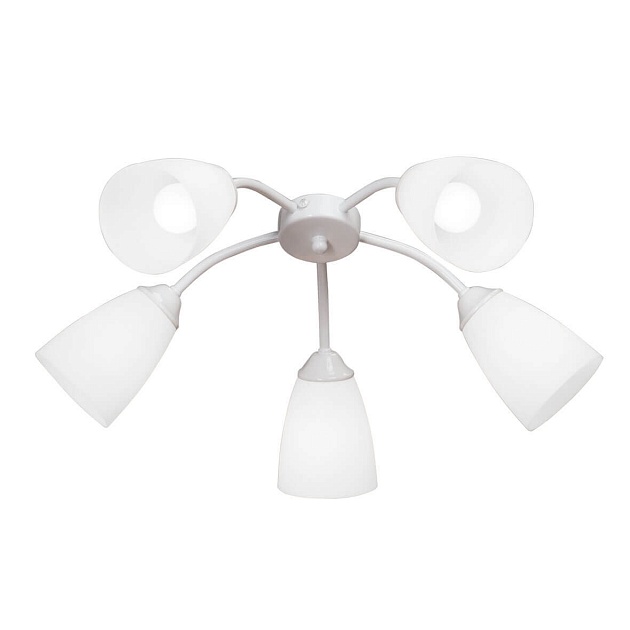 Потолочная люстра Vitaluce V3187/5PL Фото № 