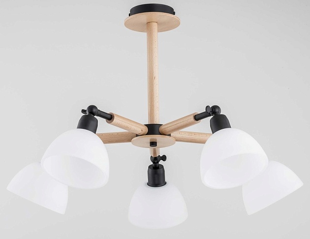 Потолочная люстра Alfa Bushwick 25185 Фото № 2