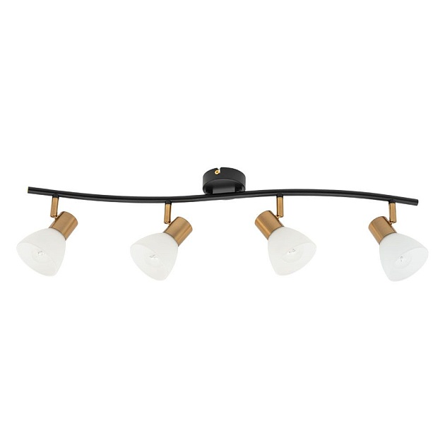 Спот Arte Lamp Falena A3117PL-4BK изображение Спот Arte Lamp Falena A3117PL-4BK Фото №