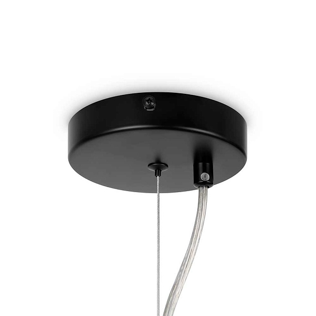 Подвесная люстра Maytoni Dallas MOD545PL-24B Фото № 2