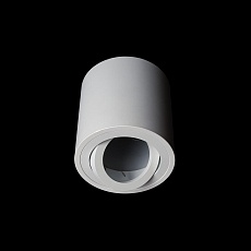 Накладной светильник Loft IT Unit 10340/B White 1