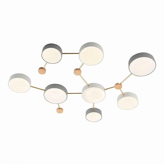 Потолочный светильник Evoluce DOSSENA SLE600102-08 изображение 2 Потолочный светильник Evoluce DOSSENA SLE600102-08 Фото № 2