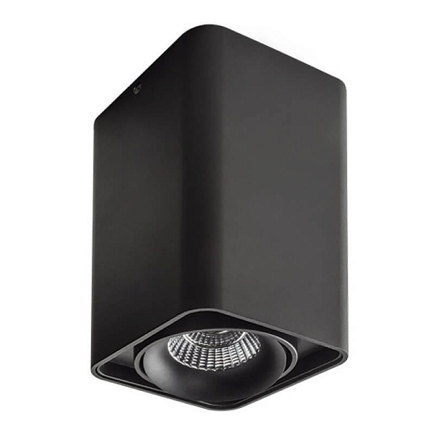 Потолочный светильник Lightstar Monocco 212537 изображение Потолочный светильник Lightstar Monocco 212537 Фото №
