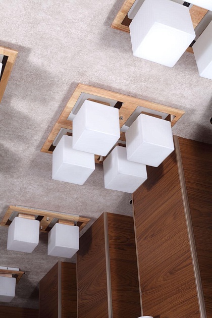 Потолочная люстра Lucia Tucci Natura 084.4 Фото № 2