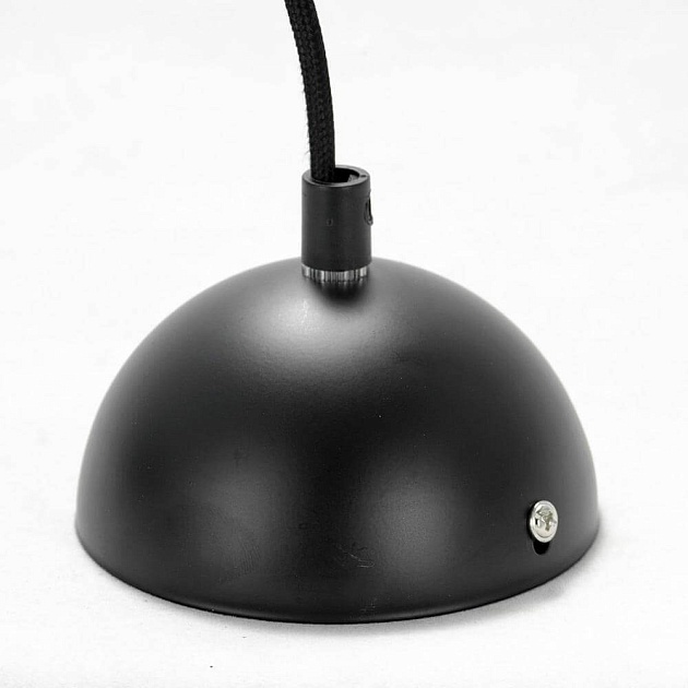 Подвесной светильник Lussole Loft Beijing LSP-8131 Фото № 2