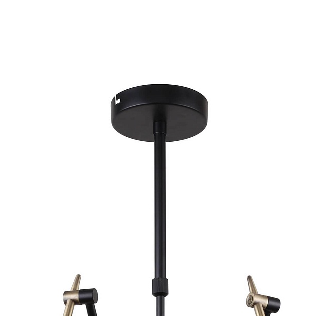 Потолочная люстра F-Promo Eget 2197-8U Фото № 4