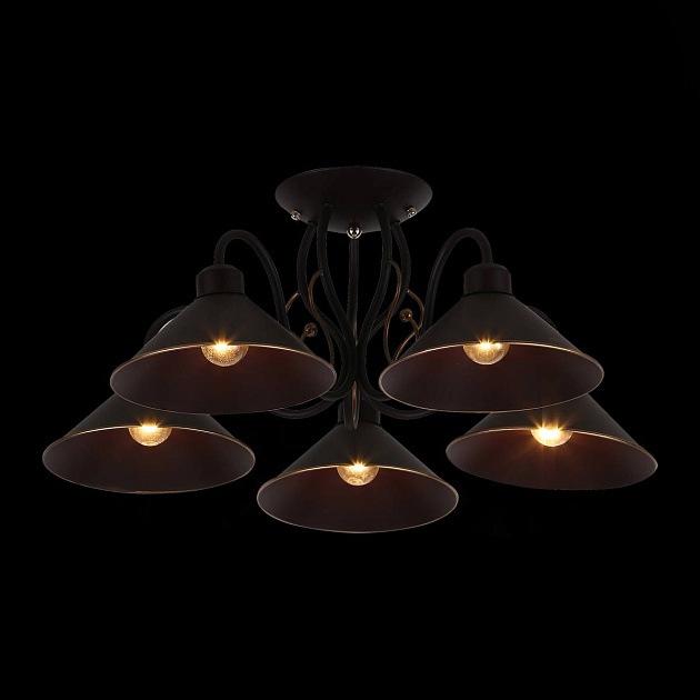 Потолочная люстра Evoluce Ciolla SLE120402-05 изображение 2 Потолочная люстра Evoluce Ciolla SLE120402-05 Фото № 2