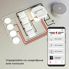 Реле Wi-Fi Elektrostandard 76005/00 4690389184406 2