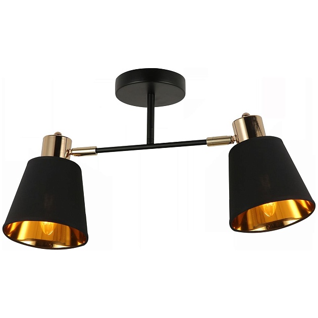 Спот Illumico IL6116-2COU-79 BK GD Фото № 