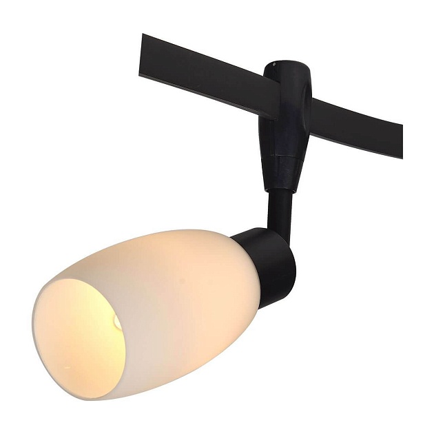 Трековый светильник Arte Lamp A3059PL-1BK изображение Трековый светильник Arte Lamp A3059PL-1BK Фото №