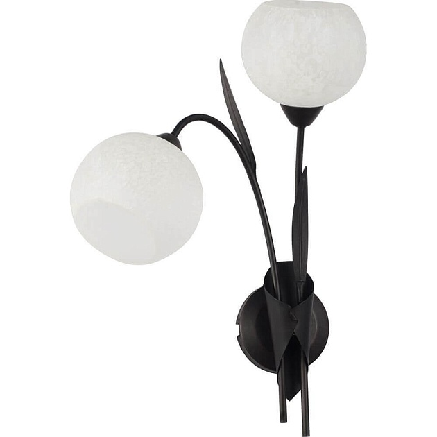 Бра Lussole Bagheria LSF-6291-02 изображение Бра Lussole Bagheria LSF-6291-02 Фото №